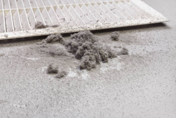 Best Dryer Vent Cleaning Services  in Prescott, WI