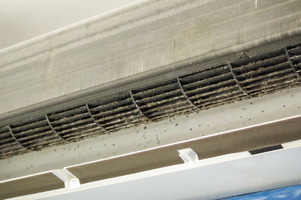 Best Affordable Air Duct Cleaning  in Prescott, WI